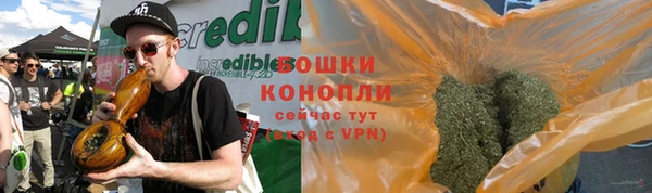 стаф Бугульма